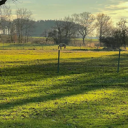 Vakantiehuis Architect's House With Nature View