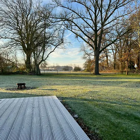 Architect's House With Nature View