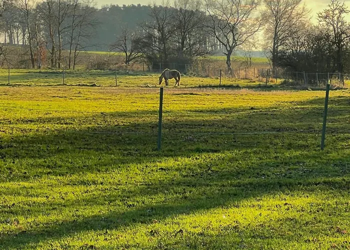 Сasa de vacaciones Architect's House With Nature View